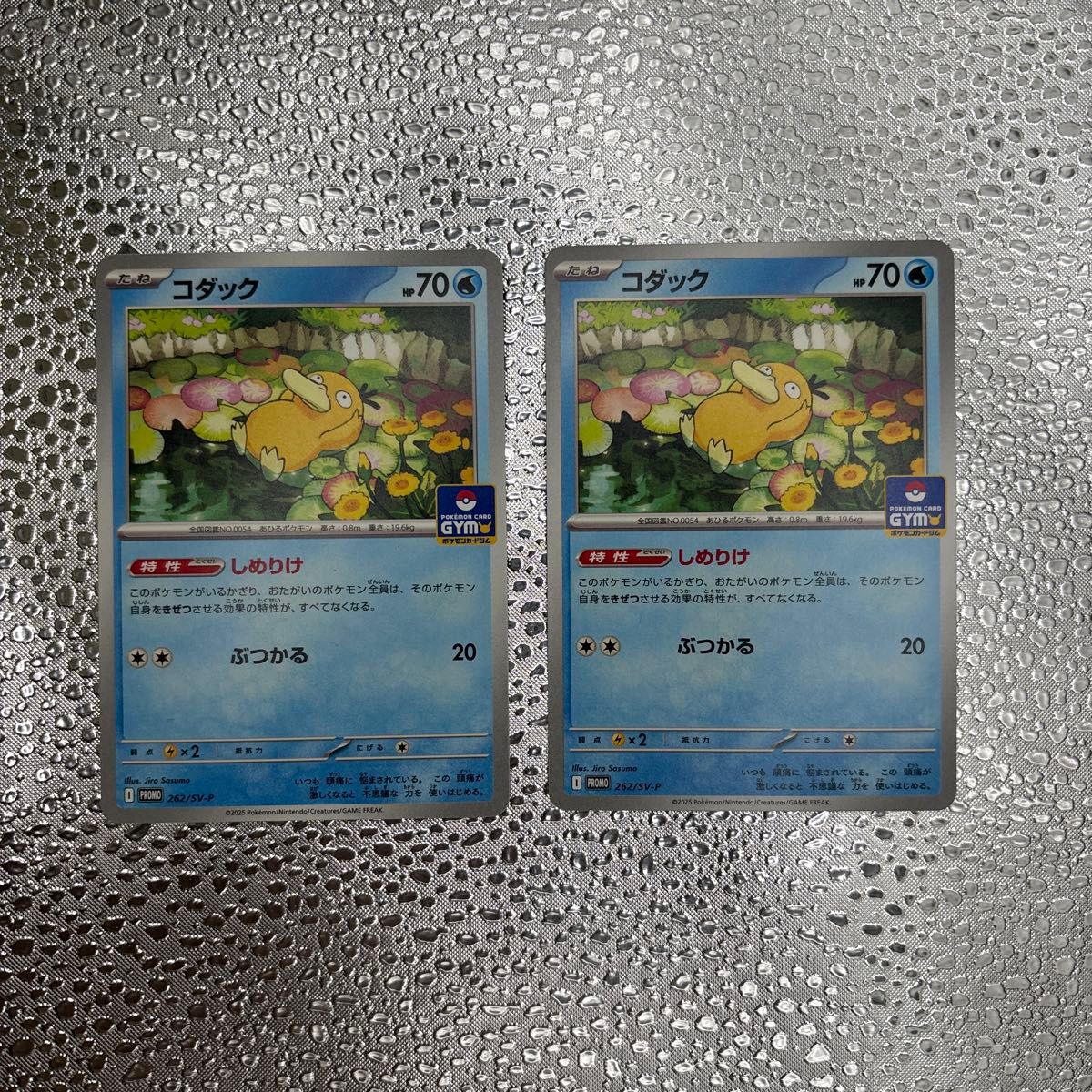コダック プロモ (262/SV-P)2枚 ポケモンカード|Yahoo!フリマ コダック プロモ (262/SV-P)2枚 ポケモンカード|Yahoo!フリマ