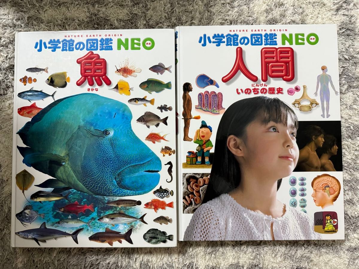 小学館の図鑑Neo プレNeo 12冊セット|Yahoo!フリマ(旧PayPay 小学館の図鑑Neo プレNeo 12冊セット|Yahoo!フリマ(旧PayPay