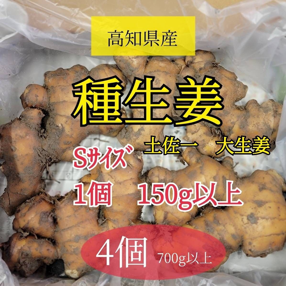 種用生姜S【4個】|Yahoo!フリマ(旧PayPayフリマ) 種用生姜S【4個】|Yahoo!フリマ(旧PayPayフリマ)
