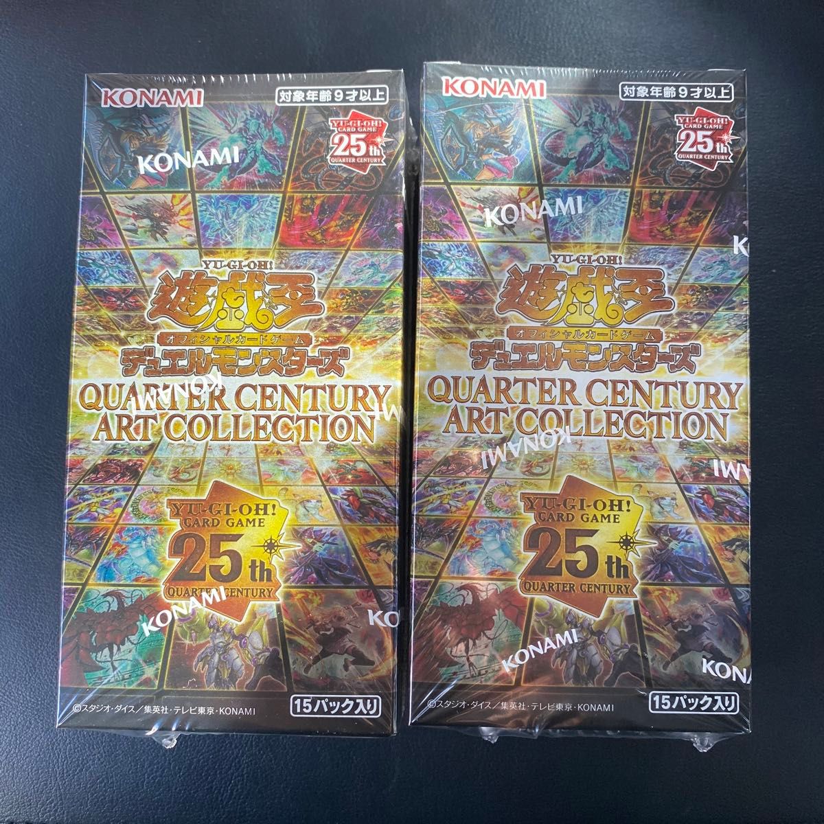 遊戯王 QUARTER CENTURY ART COLLECTION 25th アート 遊戯王 QUARTER CENTURY ART COLLECTION 25th アート