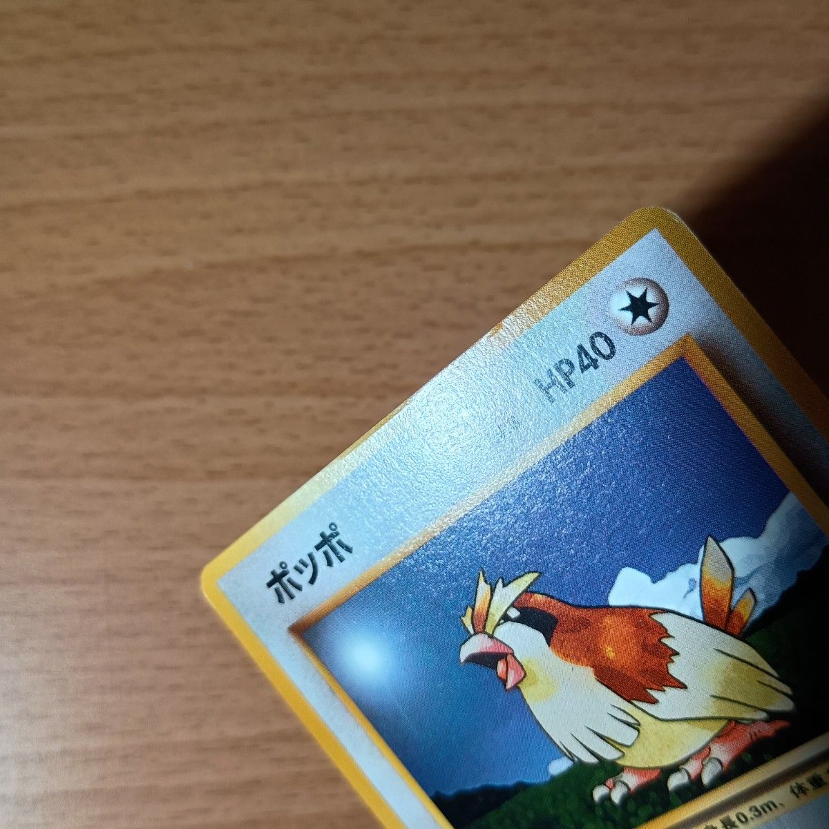 ポケモンカード 旧裏 旧裏面 No 016 ポッポ 第1弾 英語名 Pidgey ポケモンカード 旧裏 旧裏面 No 016 ポッポ 第1弾 英語名 Pidgey