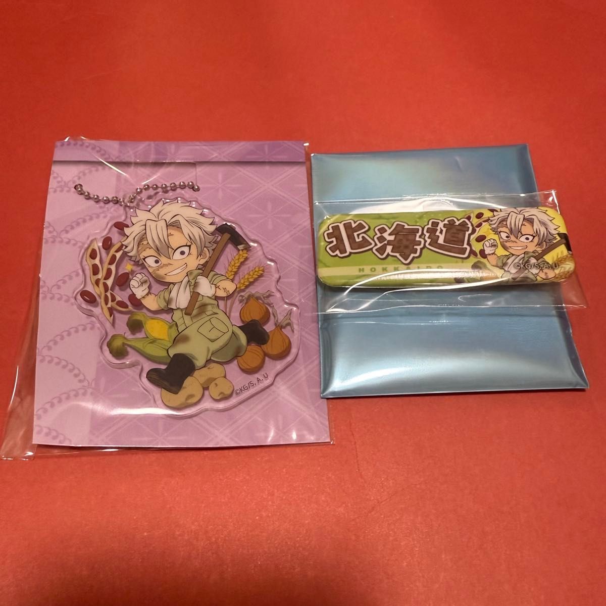 鬼滅の刃 全集中展 北海道 缶バッジ アクリルチャーム 不死川実 鬼滅の刃 全集中展 北海道 缶バッジ アクリルチャーム 不死川実