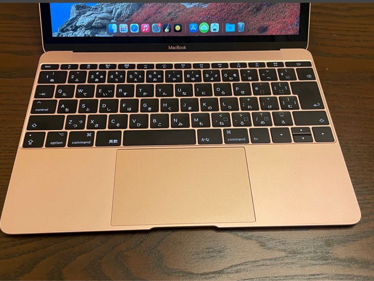 超美品 MacBook 12インチ 2017年モデル corei5 RAM8gb SSD512gb 超美品 MacBook 12インチ 2017年モデル corei5 RAM8gb SSD512gb