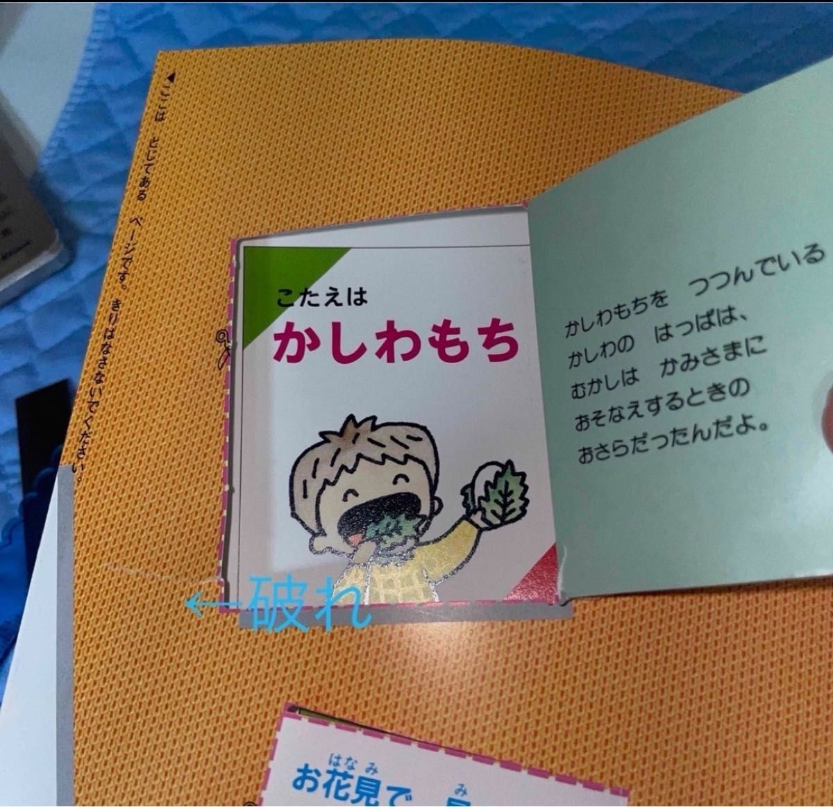 なぜなぜクイズ絵本 12冊セットチャイルド科学絵本館/図鑑 なぜなぜクイズ絵本 12冊セットチャイルド科学絵本館/図鑑