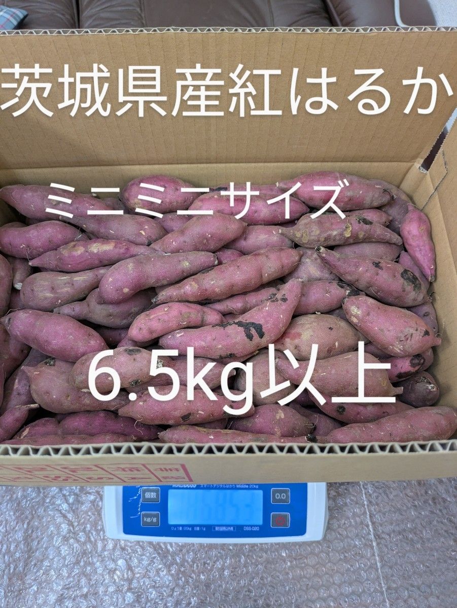 茨城県産さつま芋 ミニミニサイズ紅はるか|Yahoo!フリマ(旧 茨城県産さつま芋 ミニミニサイズ紅はるか|Yahoo!フリマ(旧