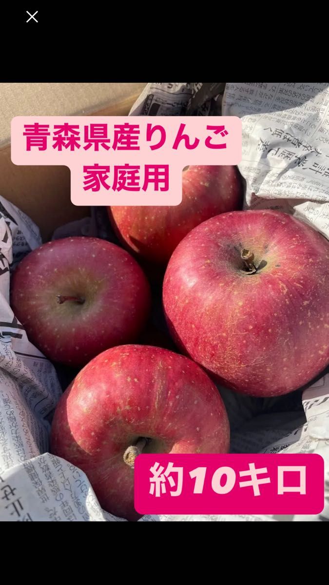 ラストチャンス 青森県産りんご サンフジ 家庭用 約10キロ ラストチャンス 青森県産りんご サンフジ 家庭用 約10キロ