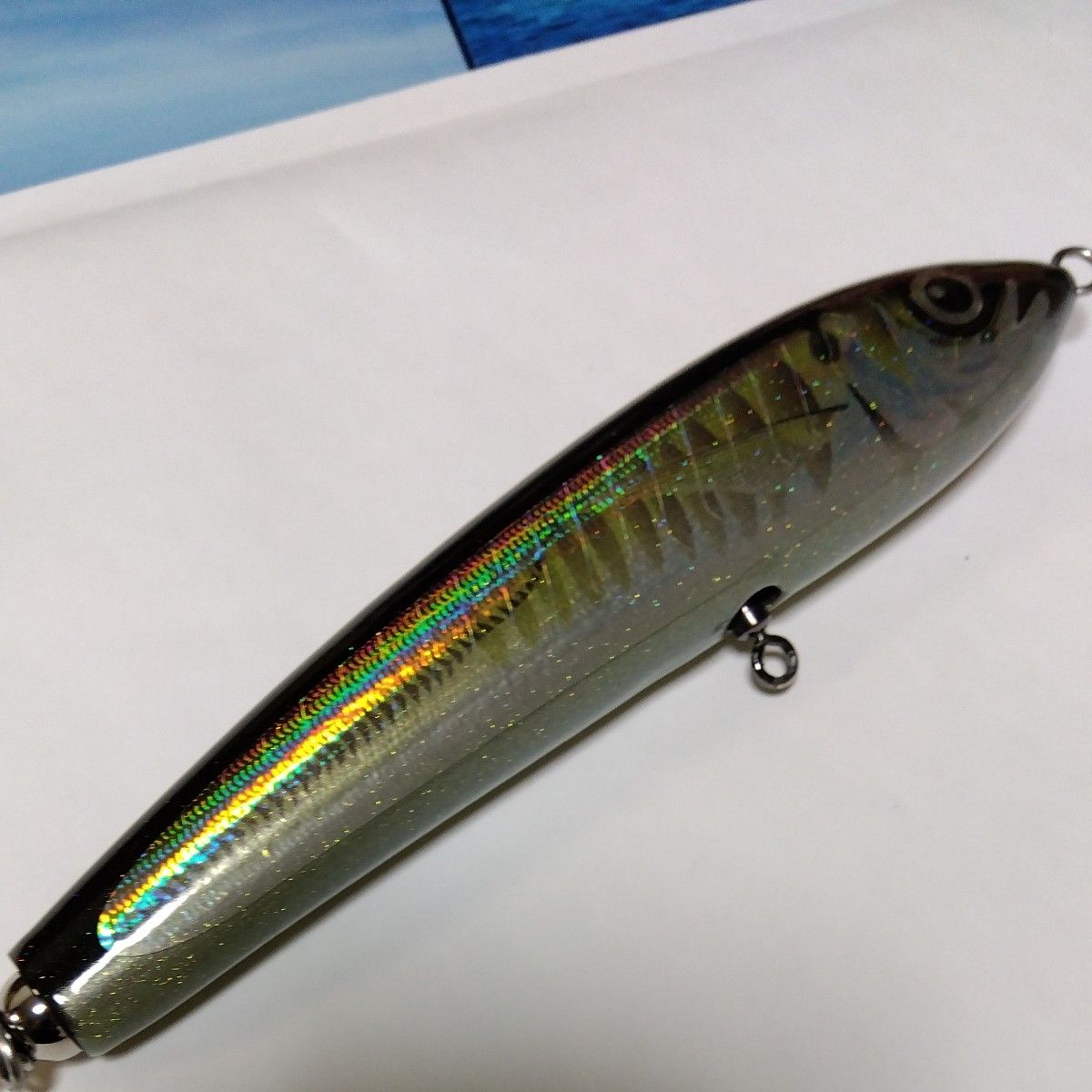 カーペンター ブルーフィッシュ 60-170 アジカラー|Yahoo カーペンター ブルーフィッシュ 60-170 アジカラー|Yahoo
