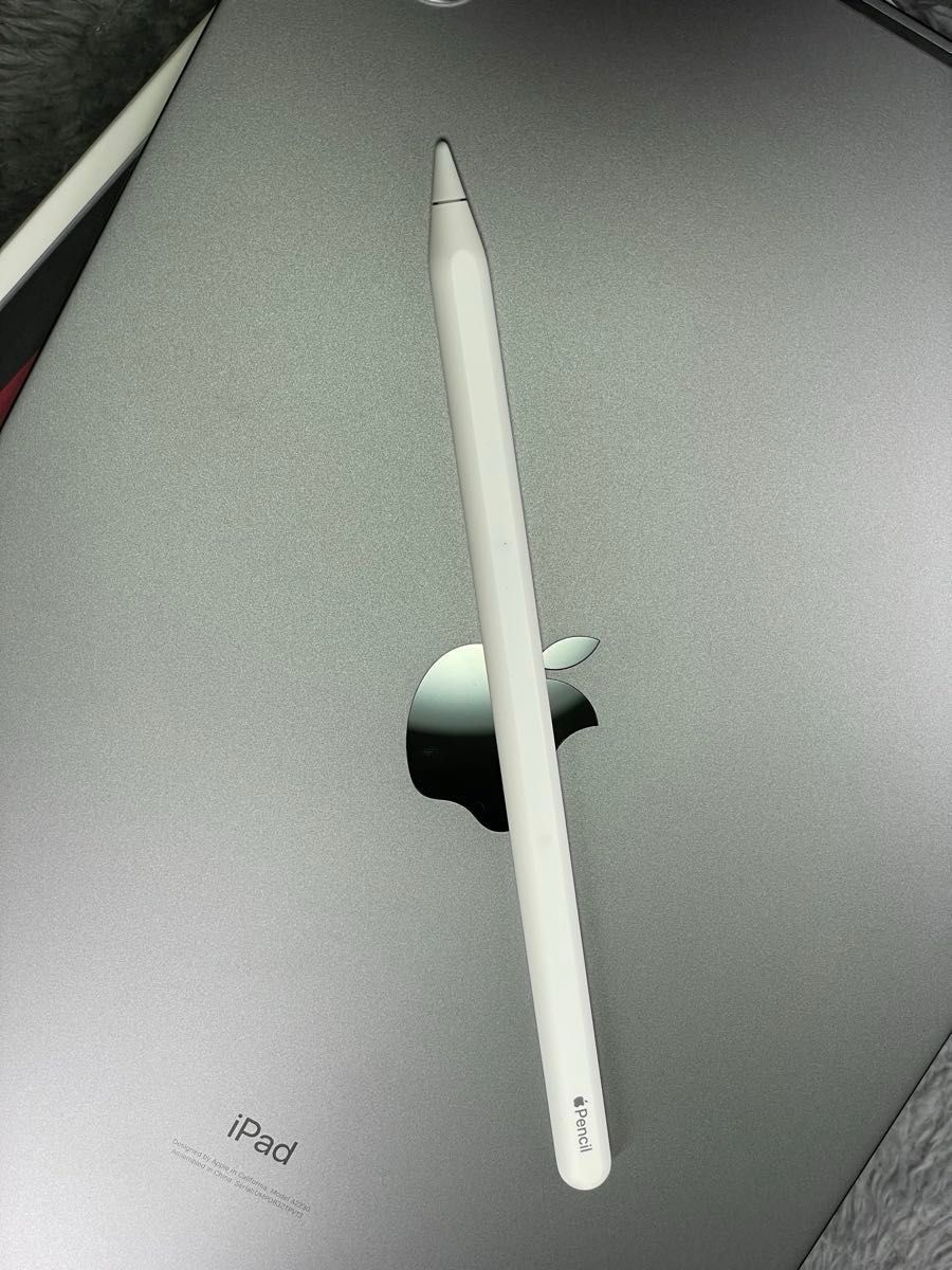 Apple 11インチ iPad pro (第2世代) Wi-Fi+Cellular 128GB Apple Apple 11インチ iPad pro (第2世代) Wi-Fi+Cellular 128GB Apple