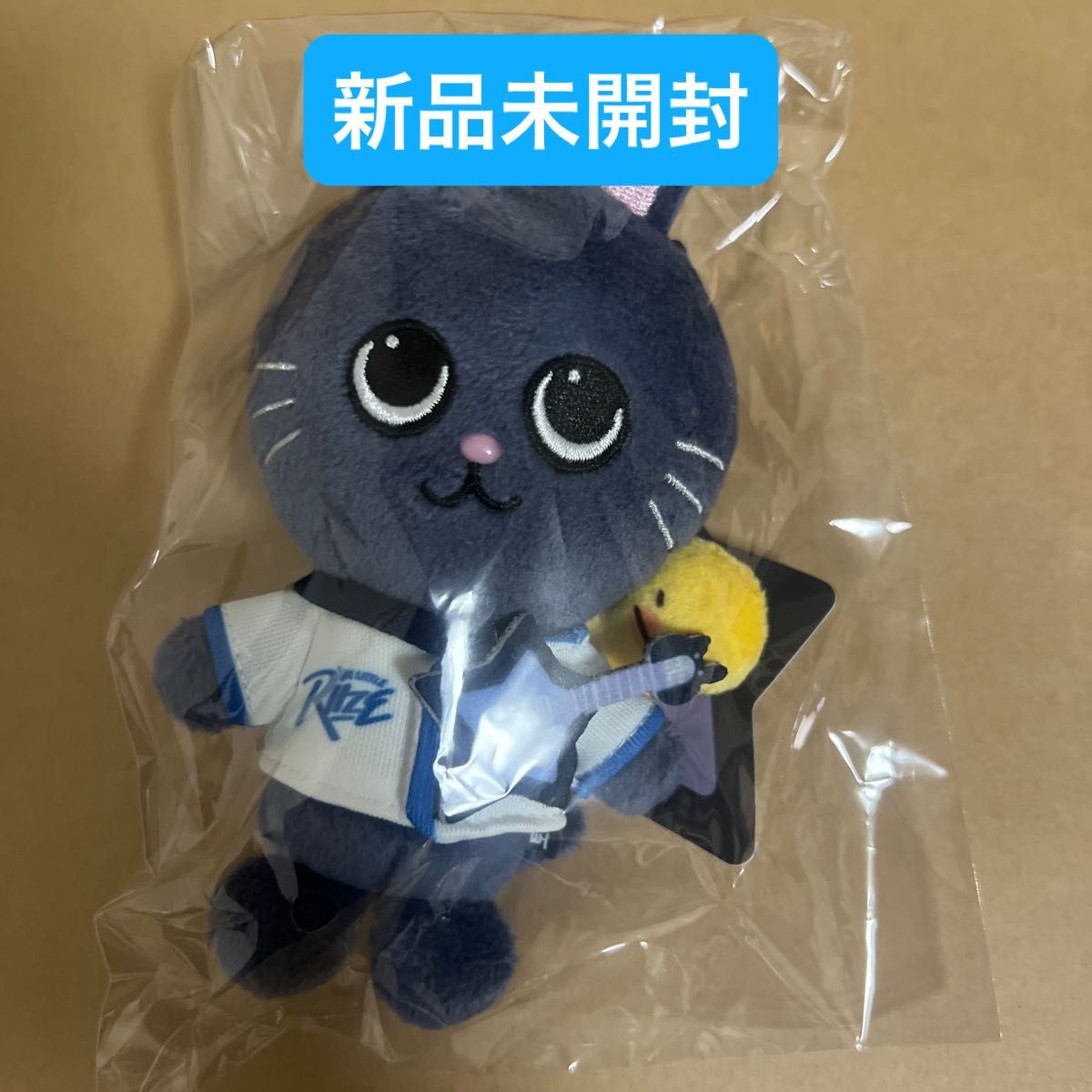 新品未開封 RIIZE ポップアップ 韓国 RIIZE PARK キーリング 新品未開封 RIIZE ポップアップ 韓国 RIIZE PARK キーリング