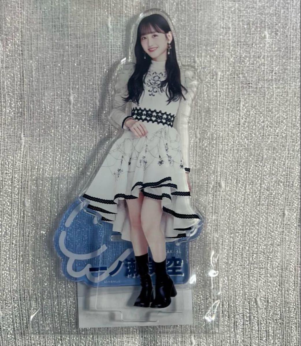 乃木坂46 一ノ瀬美空 アクリルスタンド 山下美月卒業コンサート 乃木坂46 一ノ瀬美空 アクリルスタンド 山下美月卒業コンサート