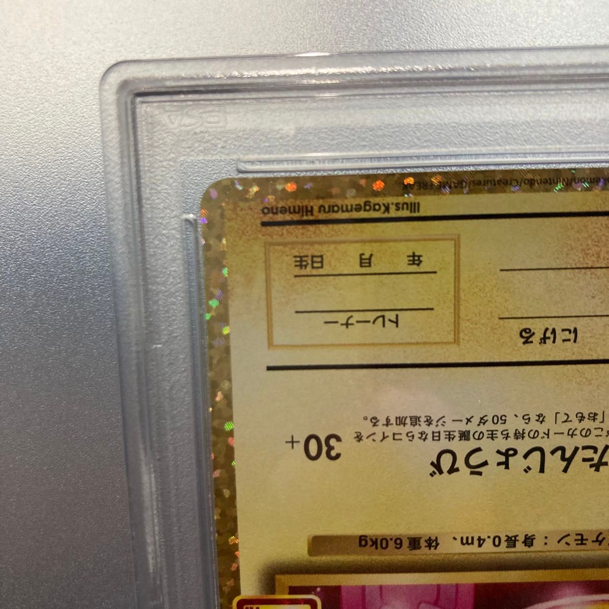 お誕生日ピカチュウ ポケモンカード _のピカチュウ 25th プロモ お誕生日ピカチュウ ポケモンカード _のピカチュウ 25th プロモ