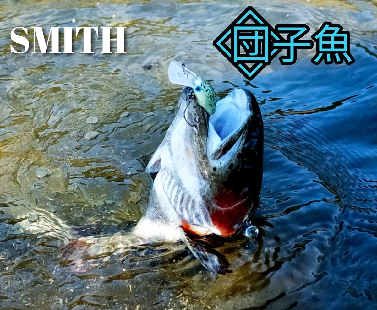団子魚 スミス ダンゴウオ 大人気カラー2個セット SMITH DR-Low 団子魚 スミス ダンゴウオ 大人気カラー2個セット SMITH DR-Low