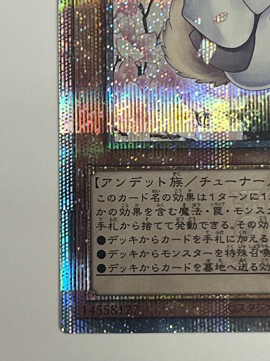 遊戯王 QCAC-JP050 灰流うらら 絵違い クォーターセンチュリー 遊戯王 QCAC-JP050 灰流うらら 絵違い クォーターセンチュリー