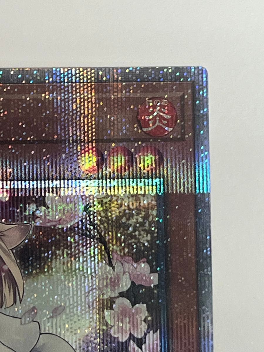 遊戯王 QCAC-JP050 灰流うらら 絵違い クォーターセンチュリー 遊戯王 QCAC-JP050 灰流うらら 絵違い クォーターセンチュリー