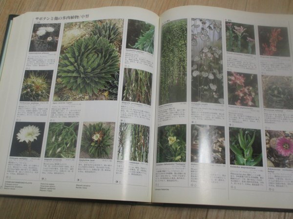 item_image_9
