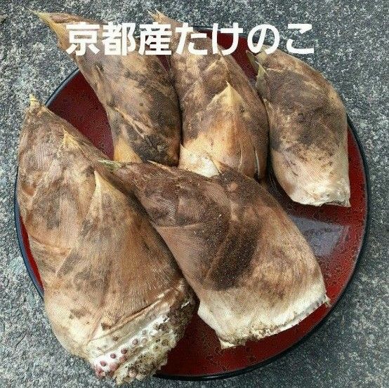 京都府産無農薬朝掘り採れたてたけのこ約4キロ|Yahoo!フリマ 京都府産無農薬朝掘り採れたてたけのこ約4キロ|Yahoo!フリマ