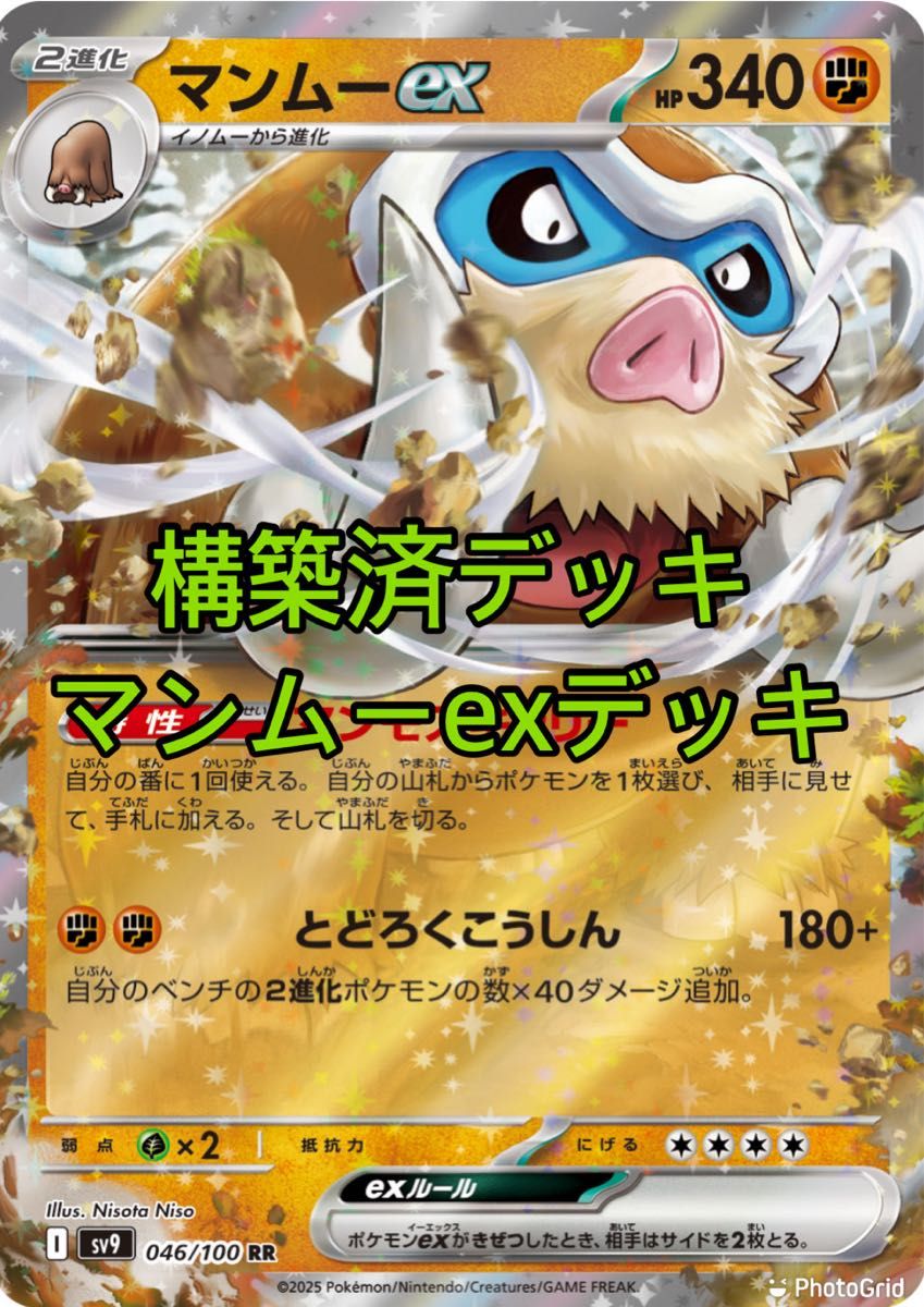 ポケモンカード 構築済デッキ マンムーexデッキ|Yahoo!フリマ ポケモンカード 構築済デッキ マンムーexデッキ|Yahoo!フリマ