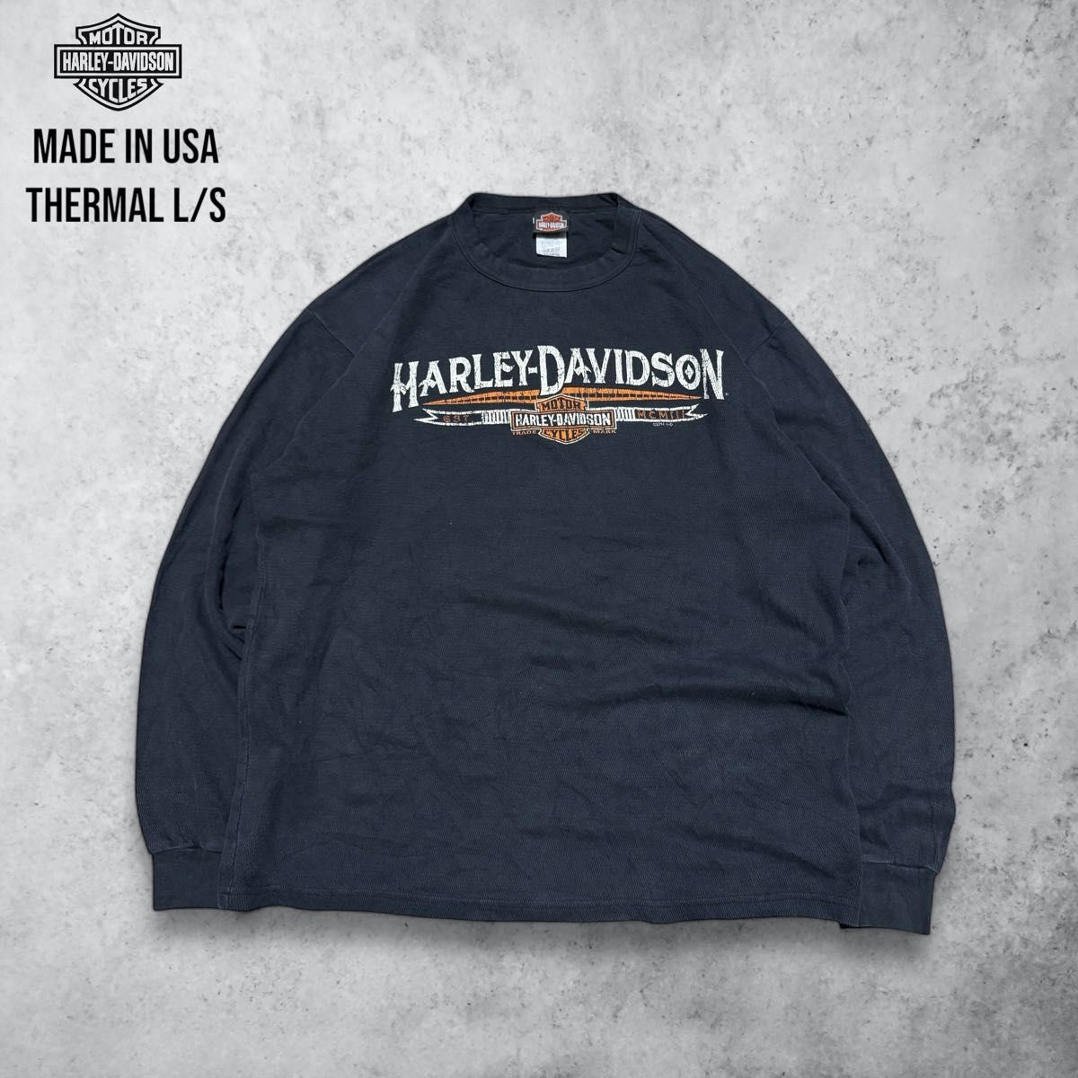 10sアメリカ製USAビンテージハーレーTシャツHarley-Davidson 10sアメリカ製USAビンテージハーレーTシャツHarley-Davidson