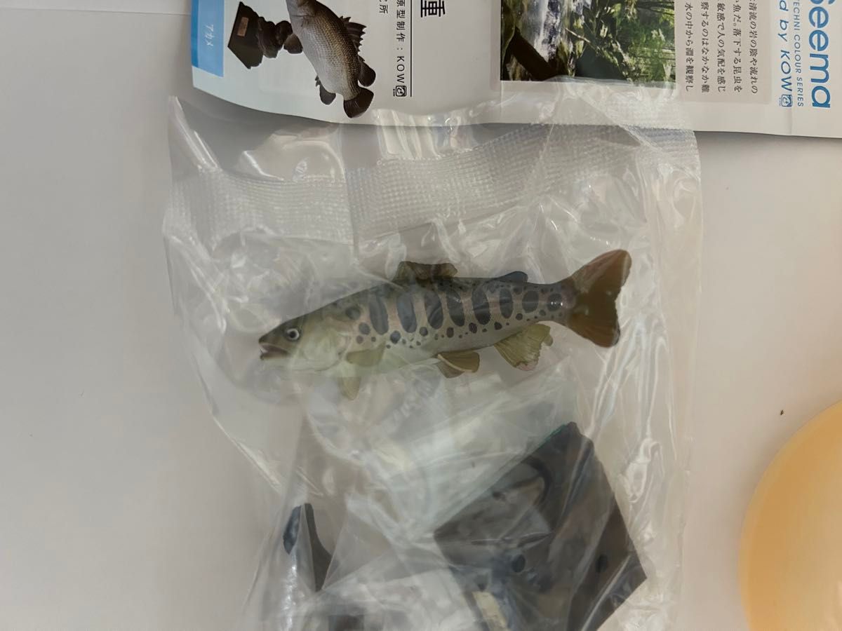 ネイチャーテクニカラー日本の清流 ヤマメ 増補特装版 カプセル ネイチャーテクニカラー日本の清流 ヤマメ 増補特装版 カプセル