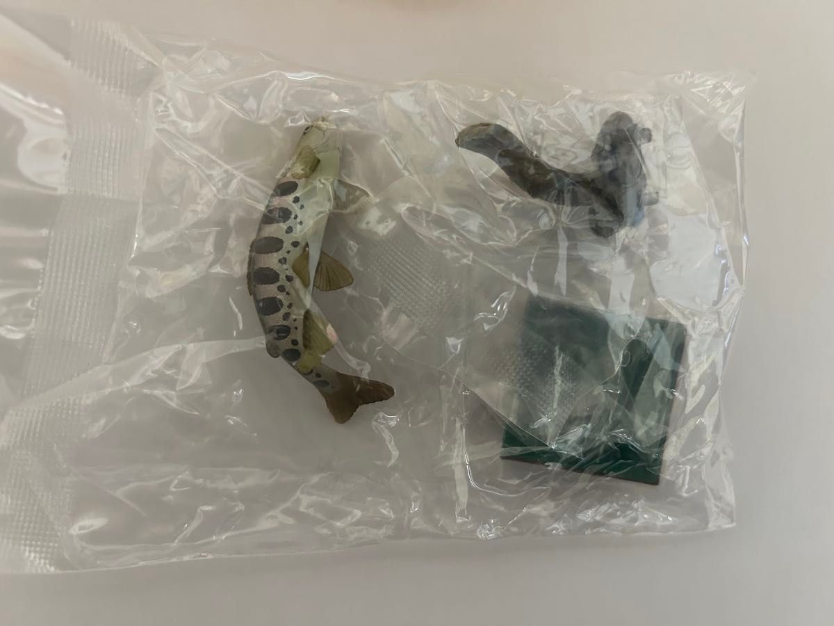 ネイチャーテクニカラー日本の清流 ヤマメ 増補特装版 カプセル ネイチャーテクニカラー日本の清流 ヤマメ 増補特装版 カプセル