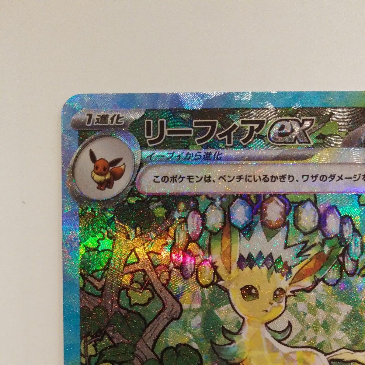ポケモンカードゲーム リーフィアex SAR テラスタルフェスex ポケモンカードゲーム リーフィアex SAR テラスタルフェスex