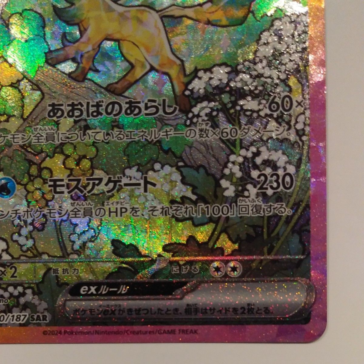 ポケモンカードゲーム リーフィアex SAR テラスタルフェスex ポケモンカードゲーム リーフィアex SAR テラスタルフェスex