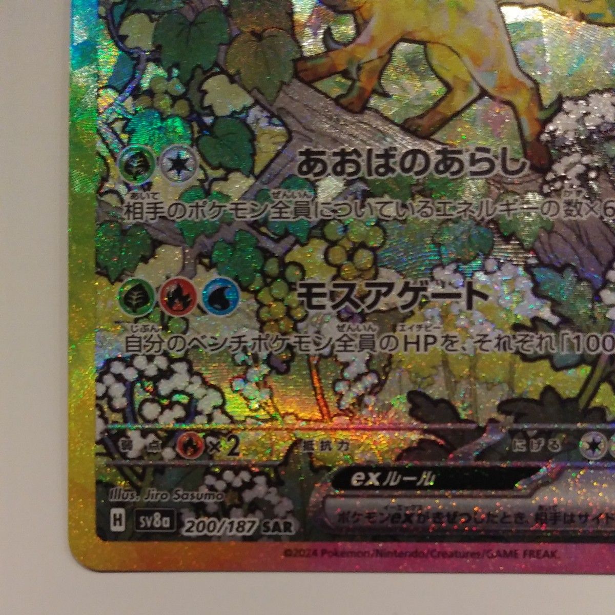 ポケモンカードゲーム リーフィアex SAR テラスタルフェスex ポケモンカードゲーム リーフィアex SAR テラスタルフェスex