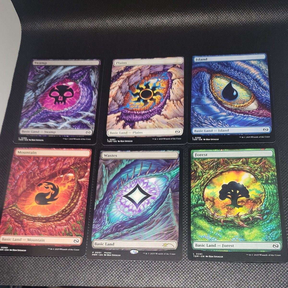 MTG タルキール龍嵐録 ドラゴンの眼 基本土地6種セット 英語 MTG タルキール龍嵐録 ドラゴンの眼 基本土地6種セット 英語