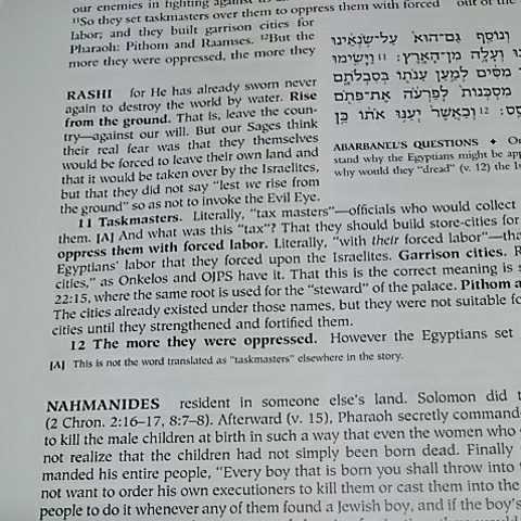 大聖書 出エジプト記の部 注釈付き 原文はヘブライ語 注釈は英語訳 2005年刊行 旧約聖書_画像5