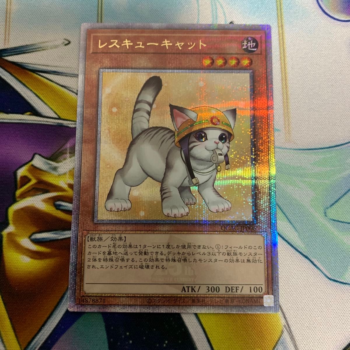 レスキューキャット 絵違い 25thシークレット qcシク クオシク レスキューキャット 絵違い 25thシークレット qcシク クオシク