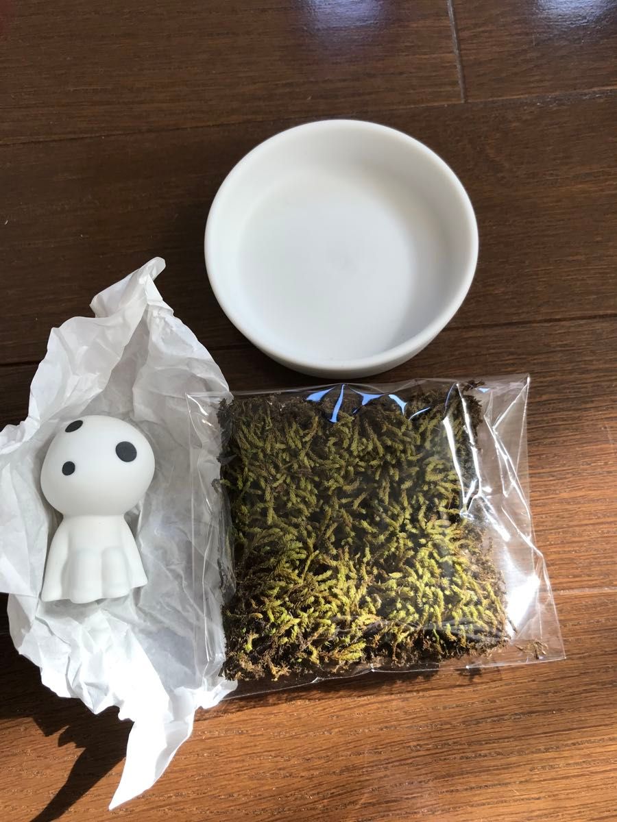 ジブリパーク限定 コダマ もののけ姫 苔鑑賞セット|Yahoo ジブリパーク限定 コダマ もののけ姫 苔鑑賞セット|Yahoo