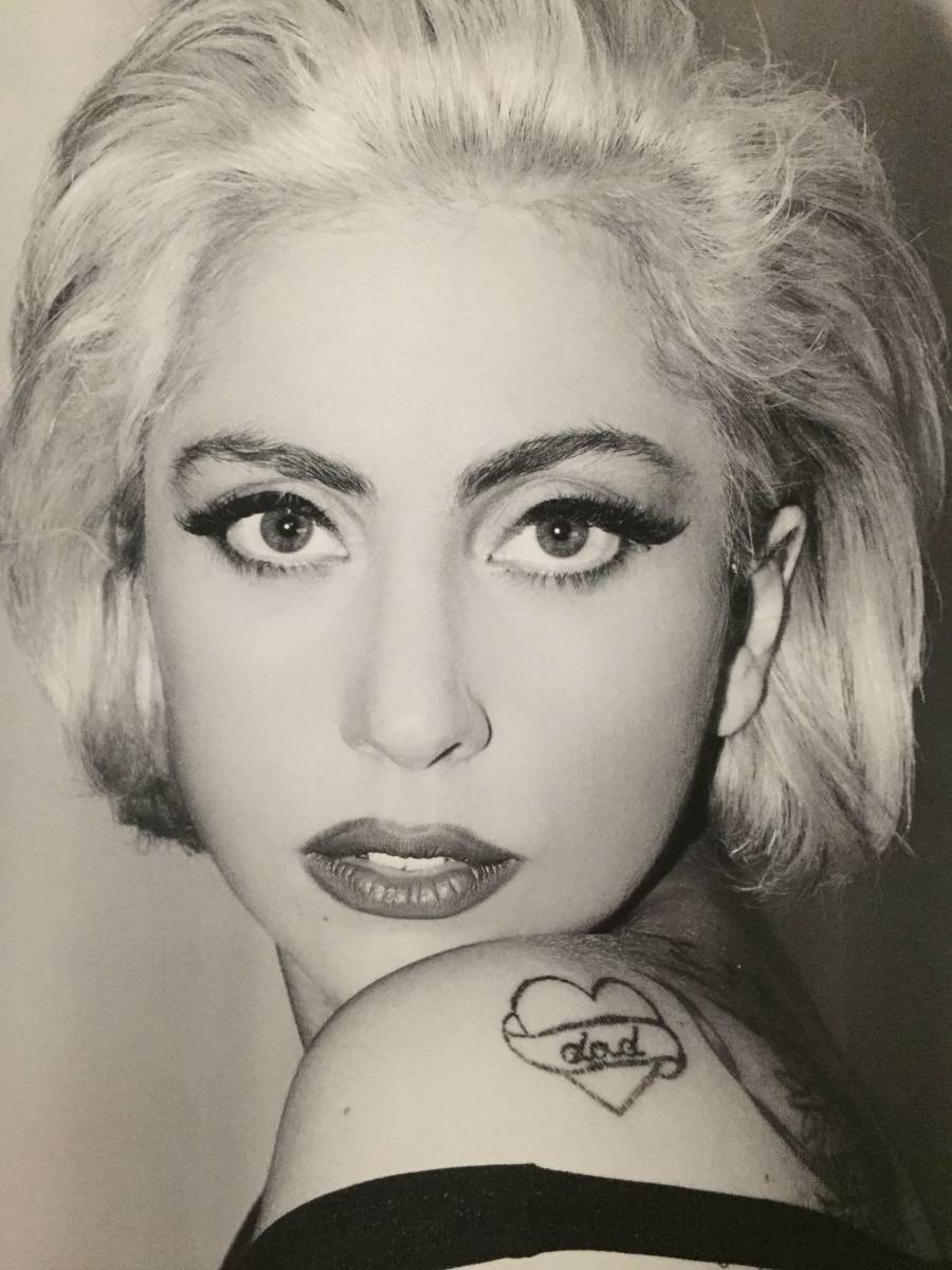 古本 帯なし 写真集 LADY GAGA×TERRY RICHARDSON 撮影:テリー・リチャードソン レディー・ガガ 肉ドレス ゆうパック(おてがる版)発送_画像2