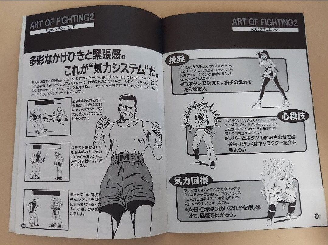 NEOGEO ネオジオ 龍虎の拳2 餓狼伝説スペシャル SNK セット売り NEOGEO ネオジオ 龍虎の拳2 餓狼伝説スペシャル SNK セット売り