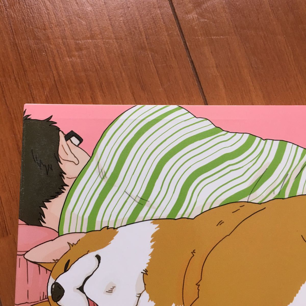Paypayフリマ あしょんでよッ うちの犬ログ 1 らくだ Paypayフリマ あしょんでよッ うちの犬ログ 1 らくだ