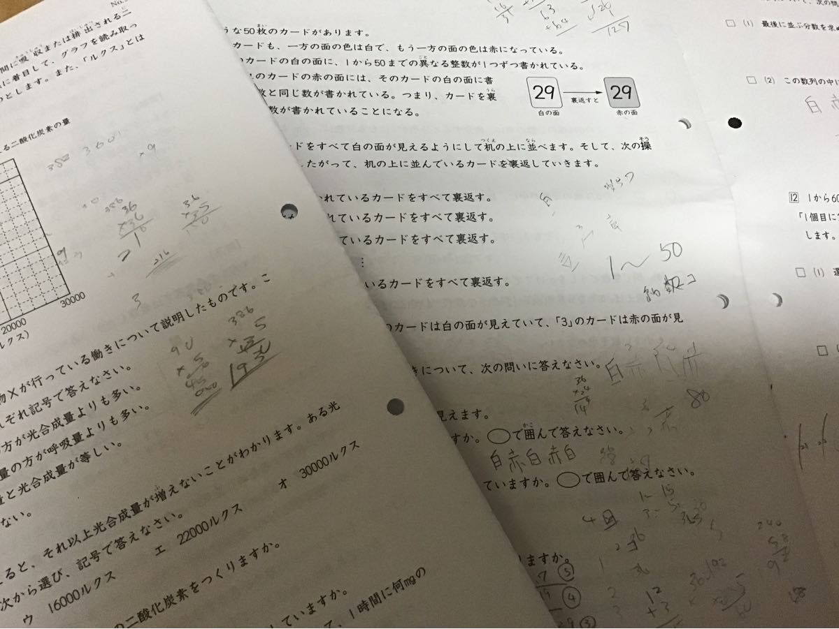 日能研 6年 実力育成テスト 前期(2月〜7月)計17回分 過去問 中学 日能研 6年 実力育成テスト 前期(2月〜7月)計17回分 過去問 中学