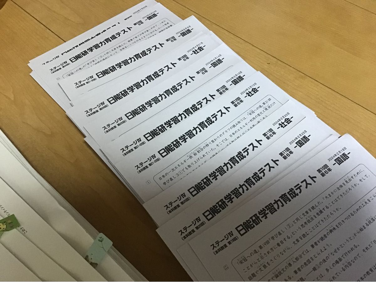 日能研 6年 実力育成テスト 前期(2月〜7月)計17回分 過去問 中学 日能研 6年 実力育成テスト 前期(2月〜7月)計17回分 過去問 中学