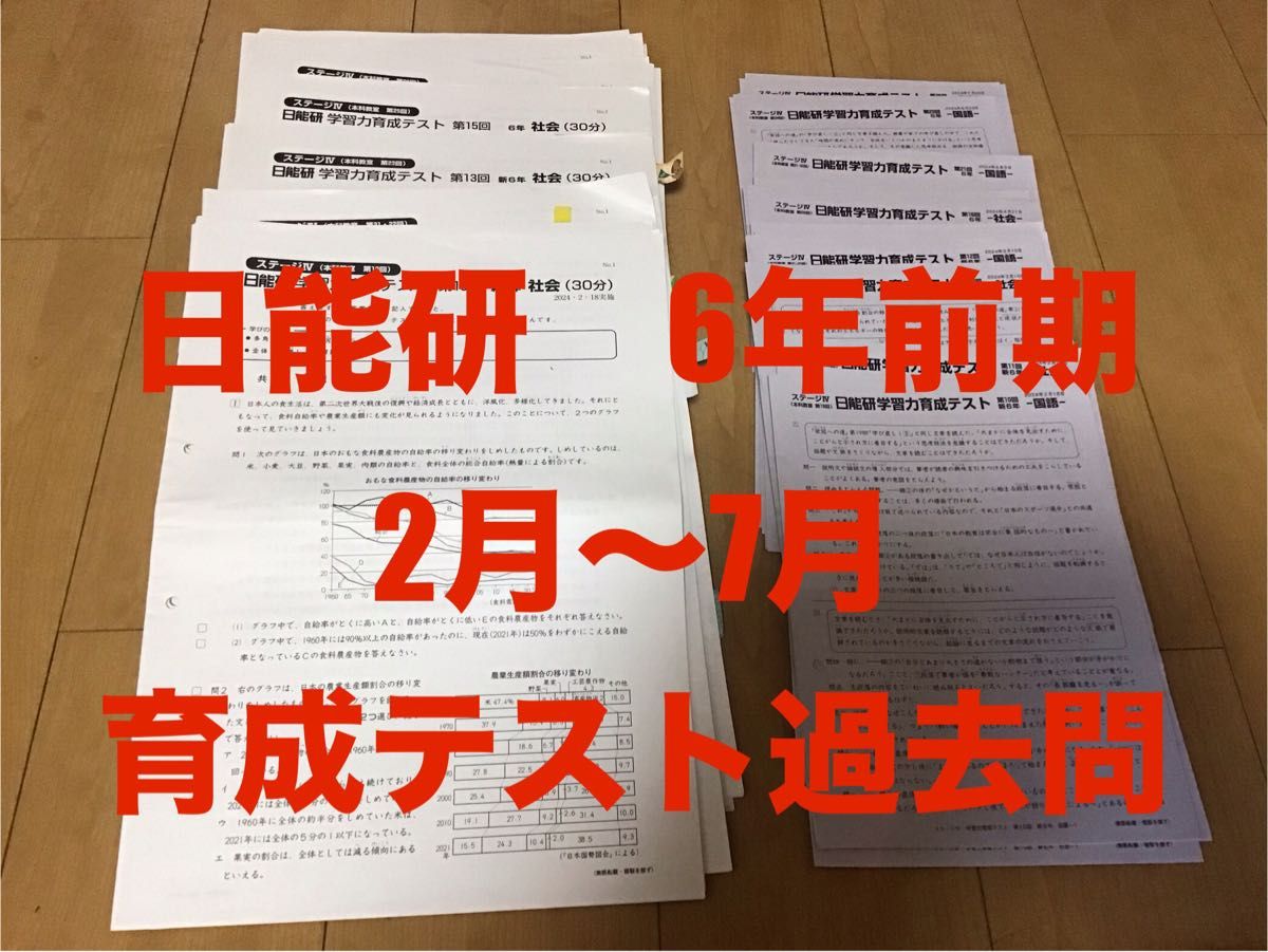 日能研 6年 実力育成テスト 前期(2月〜7月)計17回分 過去問 中学 日能研 6年 実力育成テスト 前期(2月〜7月)計17回分 過去問 中学