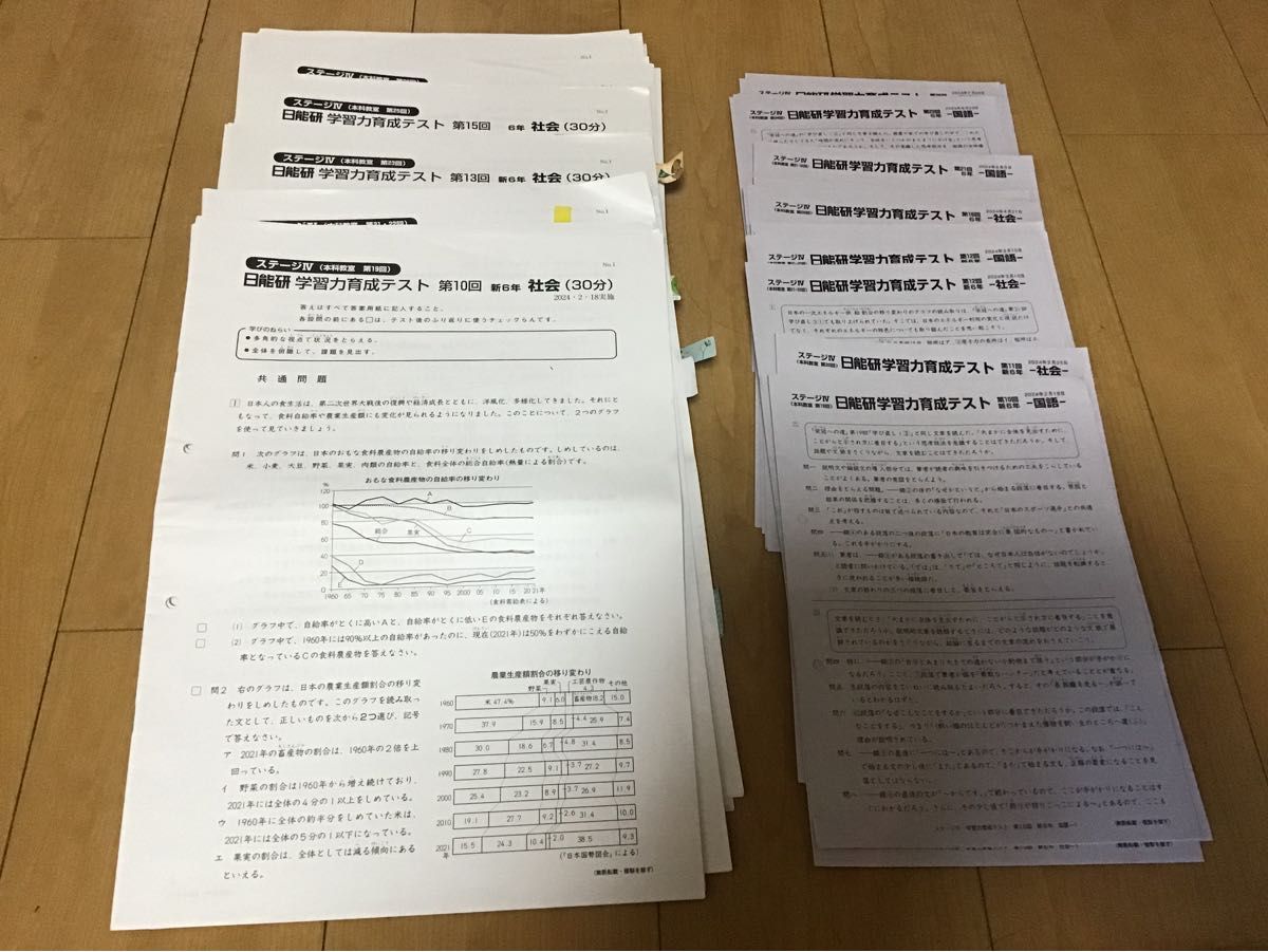 日能研 6年 実力育成テスト 前期(2月〜7月)計17回分 過去問 中学 日能研 6年 実力育成テスト 前期(2月〜7月)計17回分 過去問 中学