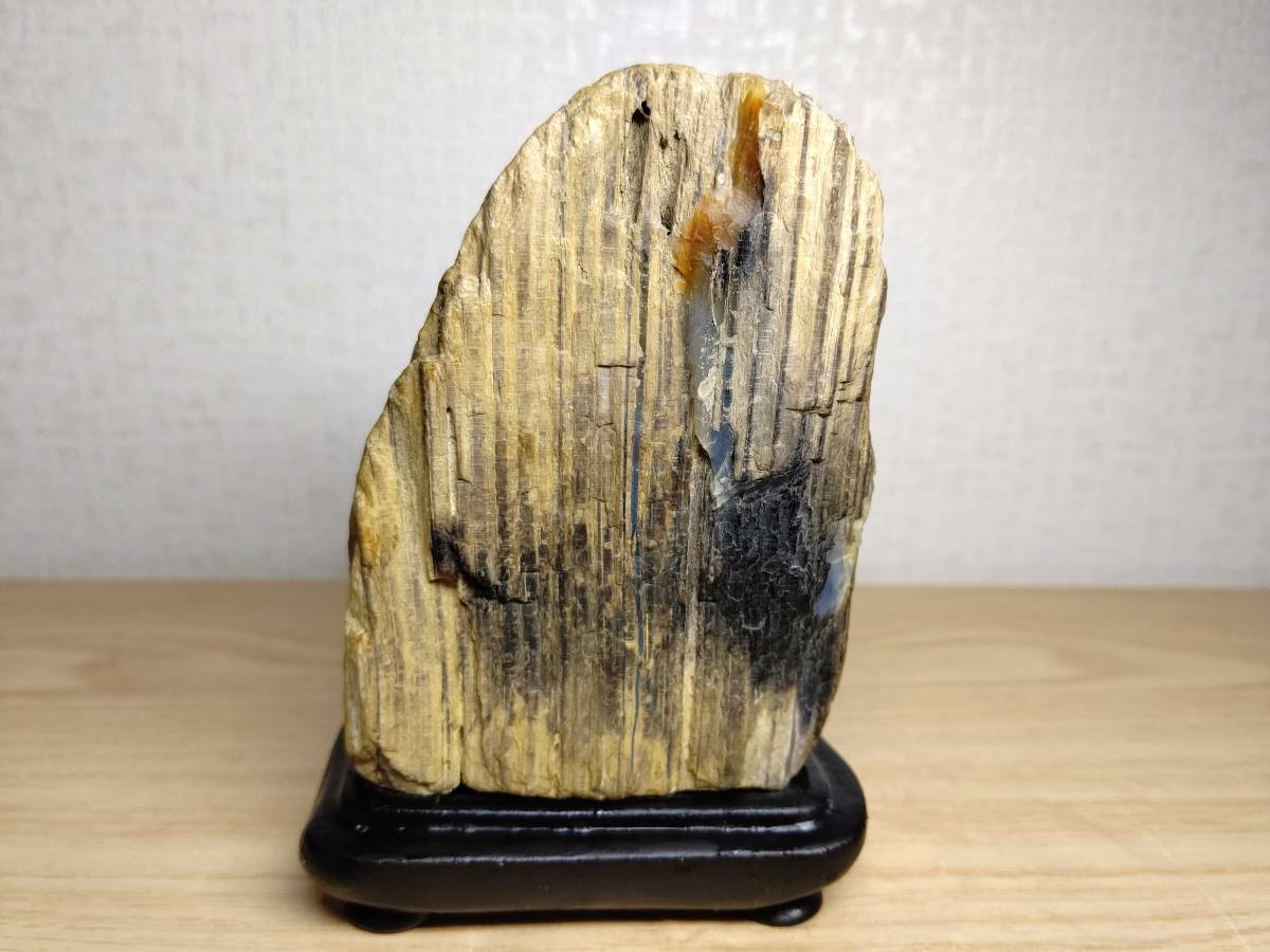 Bibian 比比昂- 【 珪化木】◇858g◇ 珪化木ジャスパー碧玉錦石 Bibian 比比昂- 【 珪化木】◇858g◇ 珪化木ジャスパー碧玉錦石