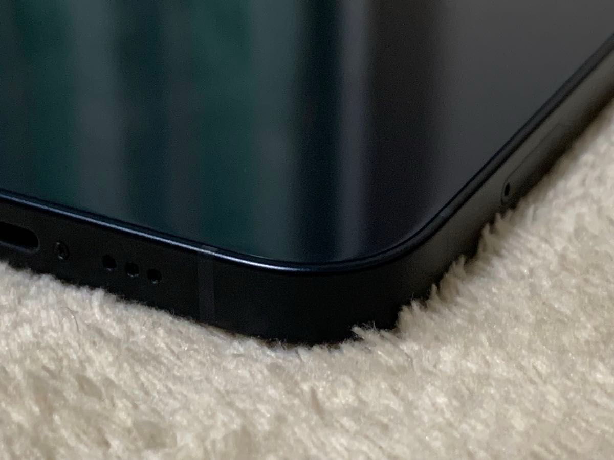 極美品 iPhone12 128GB ブラック SIMフリー 純正バッテリー86 極美品 iPhone12 128GB ブラック SIMフリー 純正バッテリー86
