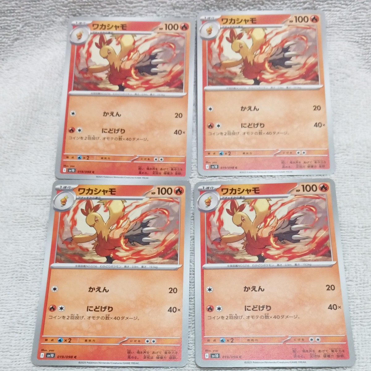 ポケモンカード ロケット団の栄光 バシャーモ ワカシャモ ポケモンカード ロケット団の栄光 バシャーモ ワカシャモ