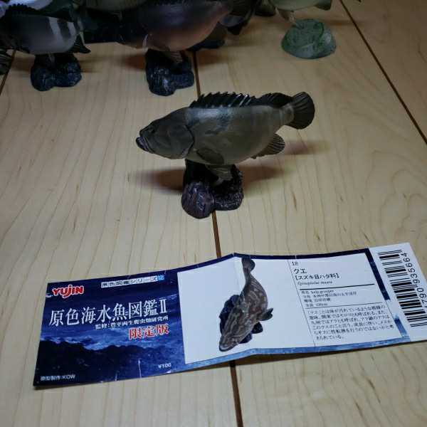 即納 原色海水魚図鑑 コンプリート17種セット ユージン 絶妙 即納 原色海水魚図鑑 コンプリート17種セット ユージン 絶妙