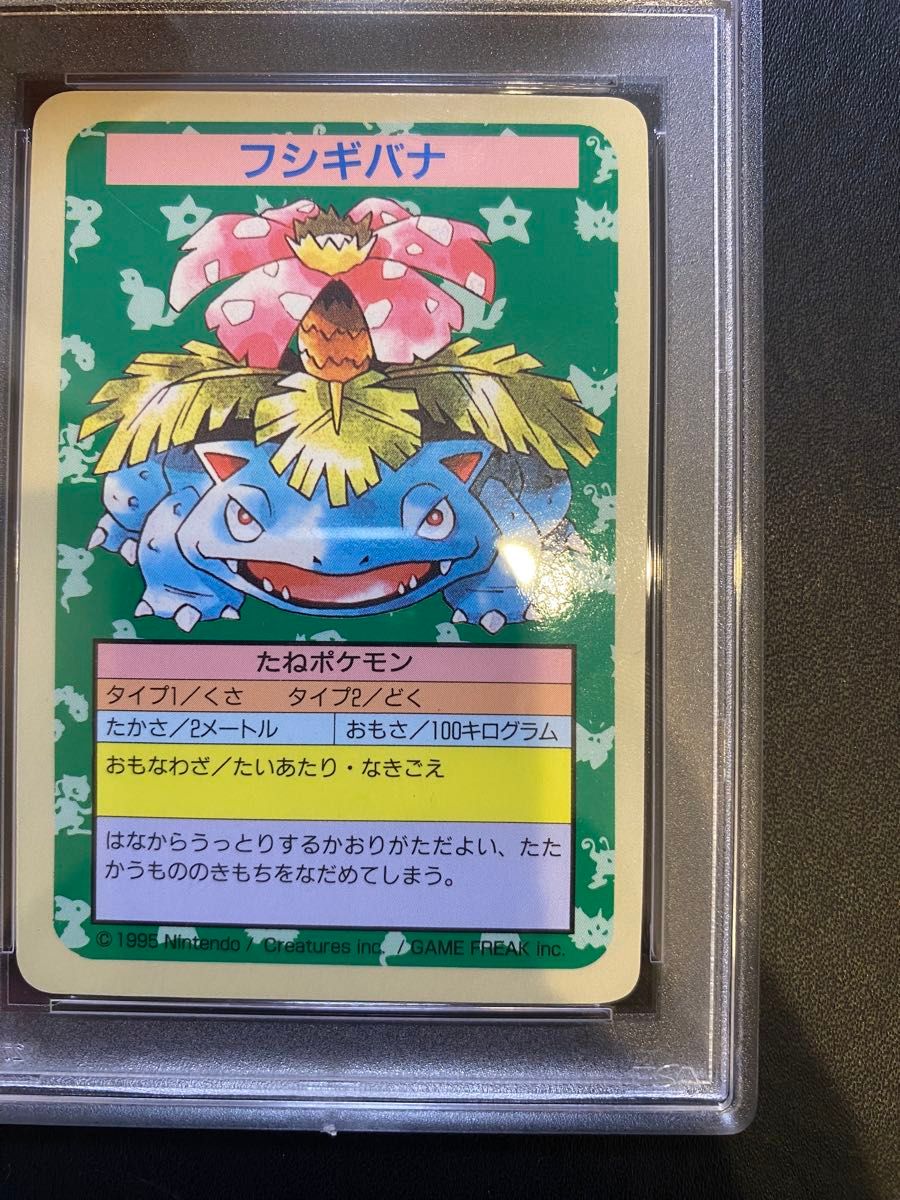 フシギバナ トップサン psa6 エラー 番号なし ナンバーレス フシギバナ トップサン psa6 エラー 番号なし ナンバーレス