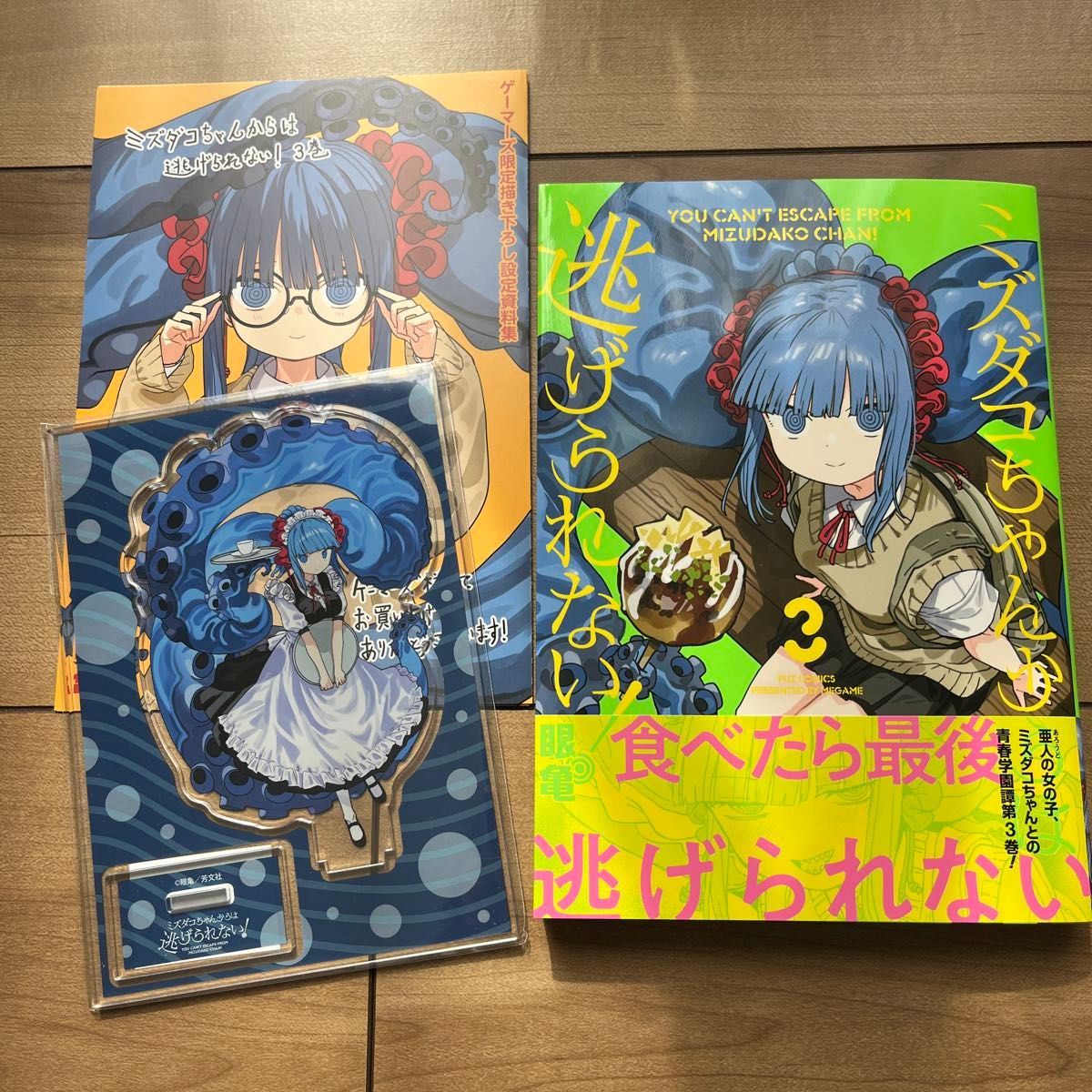 ミズダコちゃんからは逃げられない 3ゲーマーズ 限定 特典 ミズダコちゃんからは逃げられない 3ゲーマーズ 限定 特典