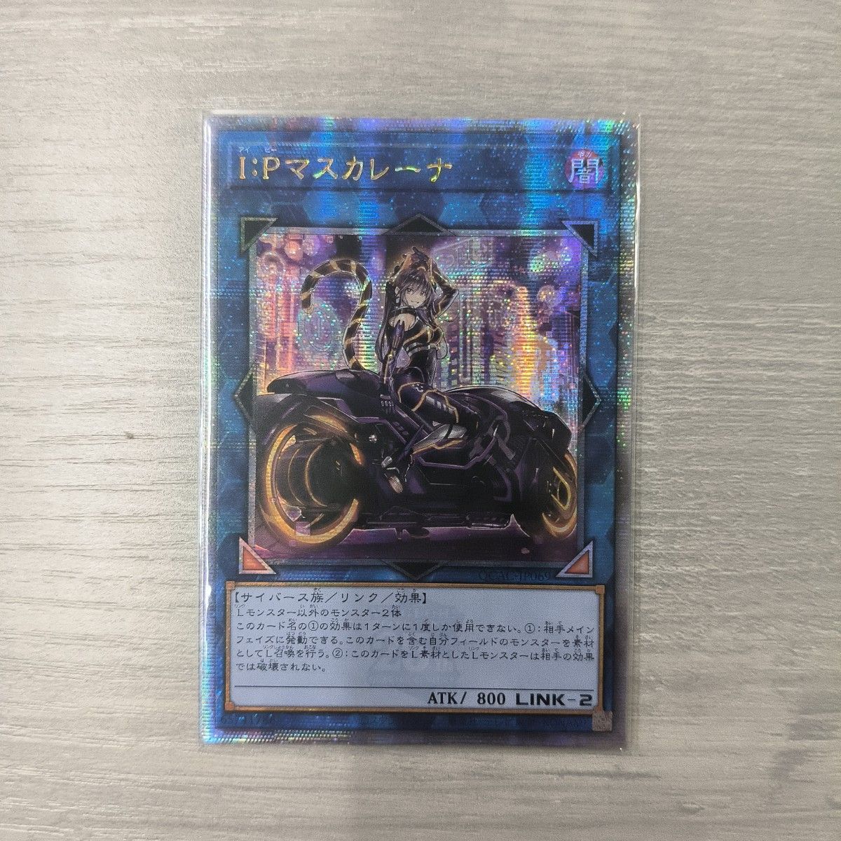 I P マスカレーナ 絵違い 25thシク QCAC-JP069 アジア版|Yahoo I P マスカレーナ 絵違い 25thシク QCAC-JP069 アジア版|Yahoo