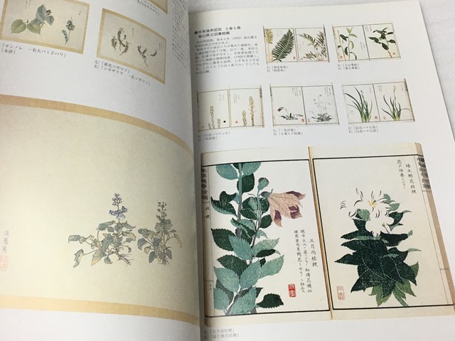  rare llustrated book Tateyama .... request .[ Toyama . medicines .]. passing Toyama [ Tateyama museum ]