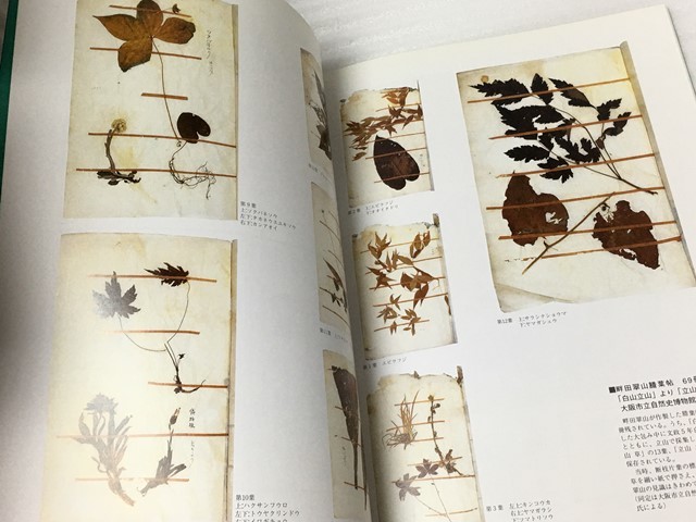  rare llustrated book Tateyama .... request .[ Toyama . medicines .]. passing Toyama [ Tateyama museum ]