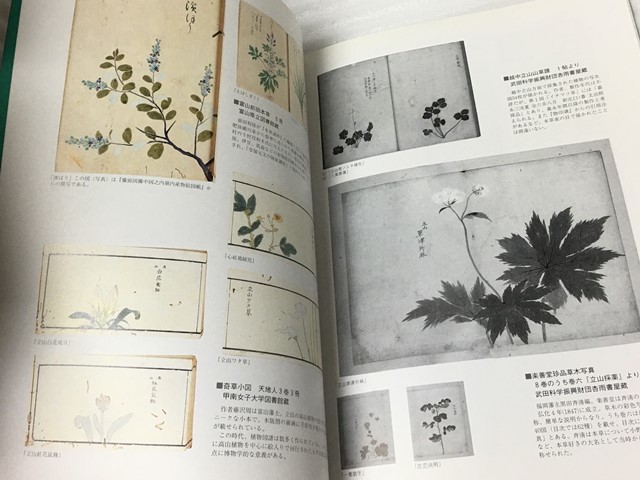  rare llustrated book Tateyama .... request .[ Toyama . medicines .]. passing Toyama [ Tateyama museum ]