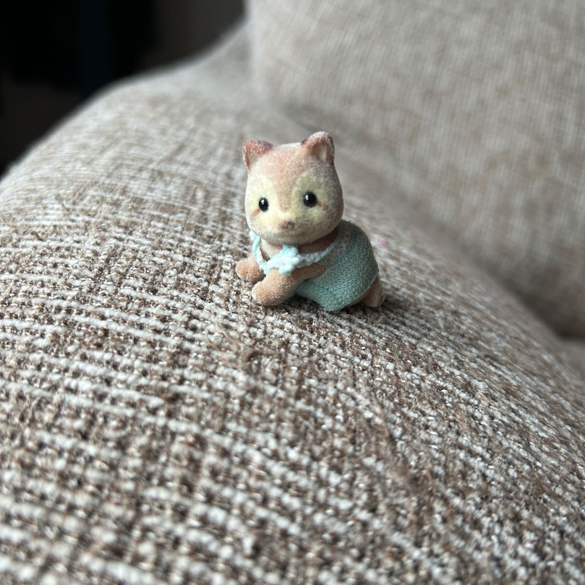 シルバニアファミリー アライグマ 赤ちゃん|Yahoo!フリマ(旧 シルバニアファミリー アライグマ 赤ちゃん|Yahoo!フリマ(旧