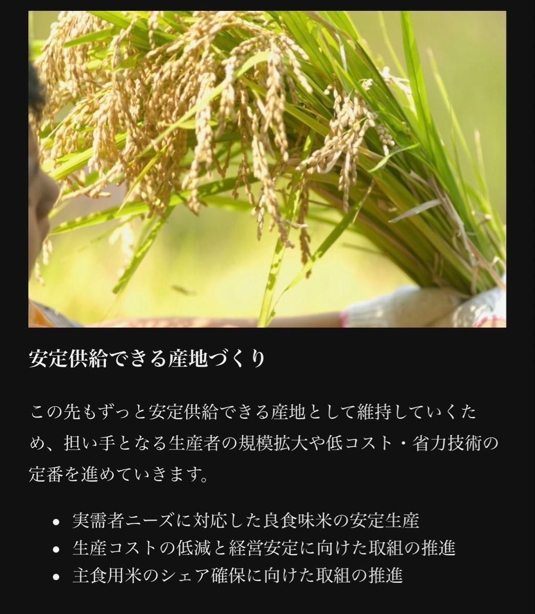 お米 精米【岩手県産金色の風20kg】5kg×4 岩手の最上級米 感動の お米 精米【岩手県産金色の風20kg】5kg×4 岩手の最上級米 感動の
